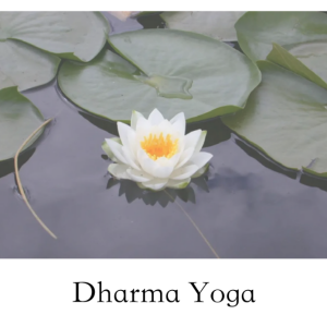 Dharma Yoga Level 1