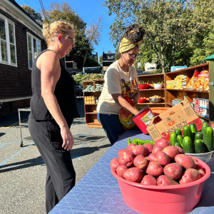 Harvest Festival & Solidarity Potluck