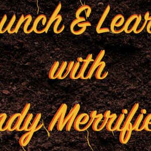 Lunch ‘n Learn with Andy Merrifield